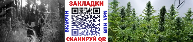 Продажа наркотиков Сычёвка Галлюциногенные грибы  Мефедрон  Героин  Конопля  МЕГА онион  АМФЕТАМИН  Cocaine 