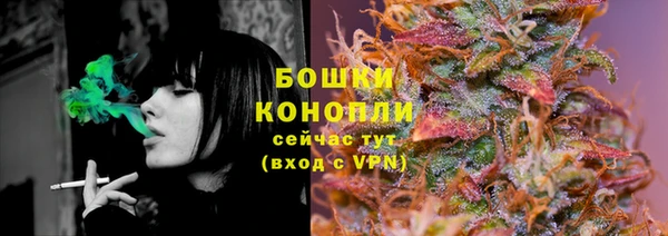ПСИЛОЦИБИНОВЫЕ ГРИБЫ Лагань