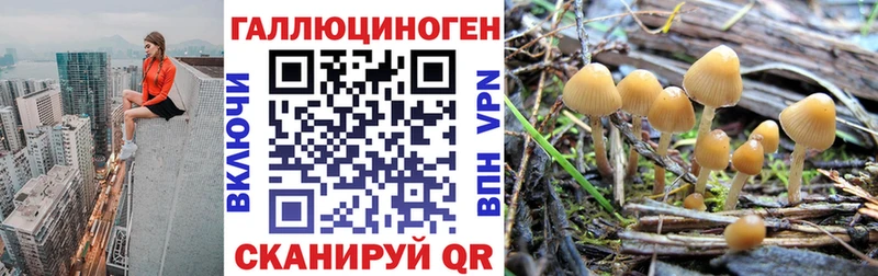 Галлюциногенные грибы мицелий  это формула  Сычёвка 